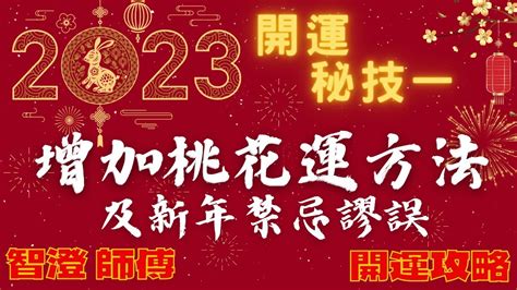 增加桃花運2023|招桃花旺人緣2023攻略 